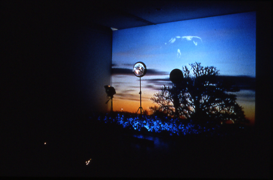 Song of Mandrake, 1999, Dimension variable, Video Installation, Color/Sound, Couleur/Sonore
