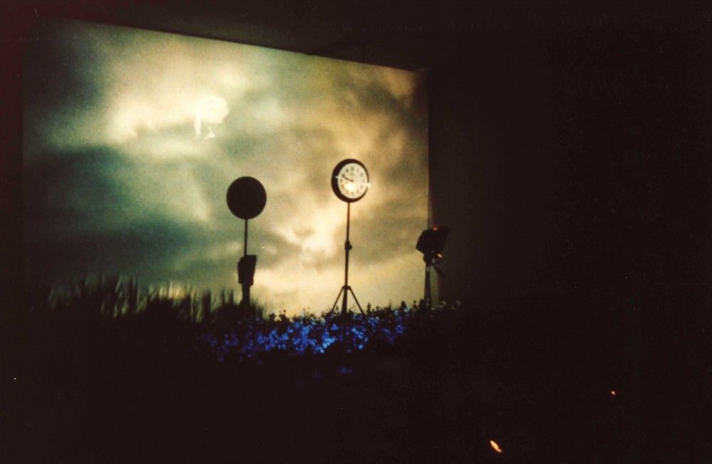 Song of Mandrake, 1999, Dimension variable, Video Installation, Color/Sound, Couleur/Sonore