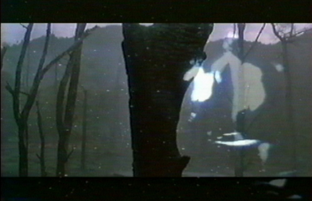 Intersection, 2000, Dimension variable, Video Installation, Color/Sound, Couleur/Sonore, Video loop projected in a dark room, Vue d'installation, Nation Museum Art, Osaka, Japan, 2002