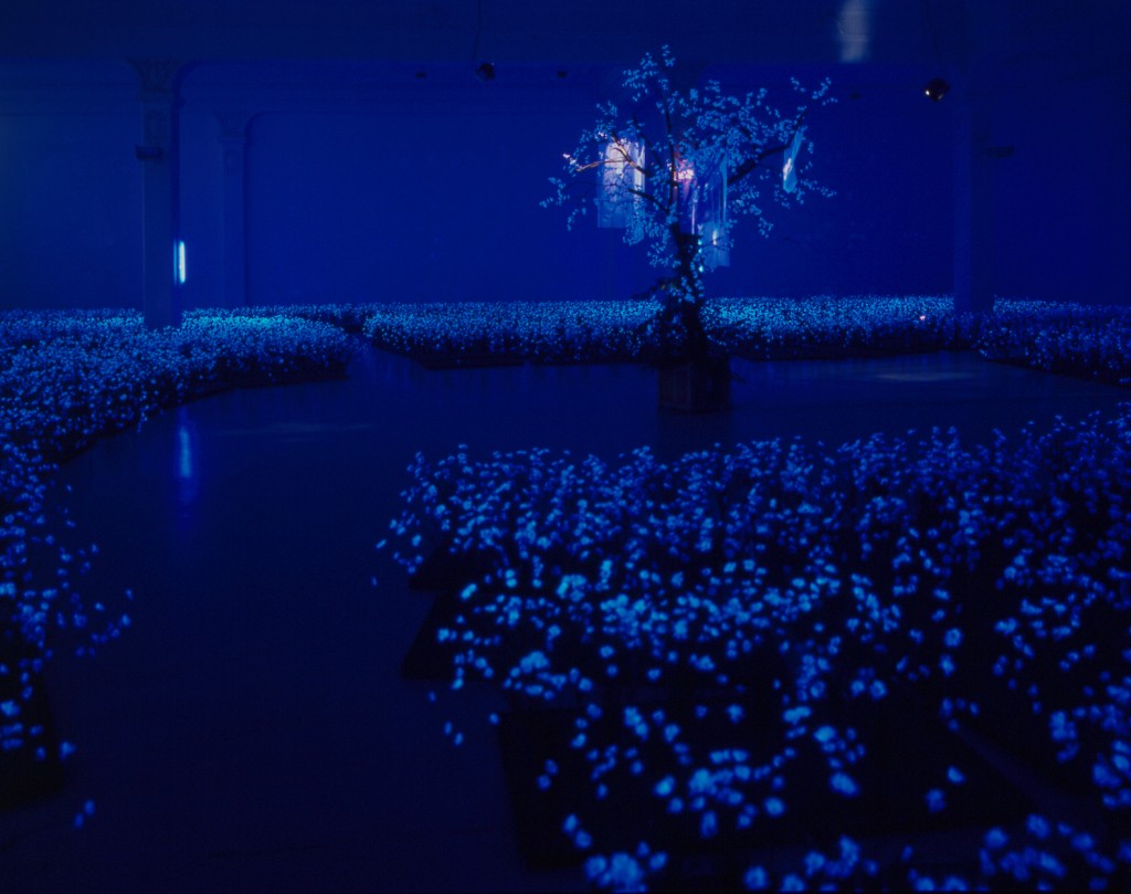 Jardin secret (Secret garden), 2001, Installation Vidéo, Couleur, sonore, Color/sound, Video loop projected in a dark room
