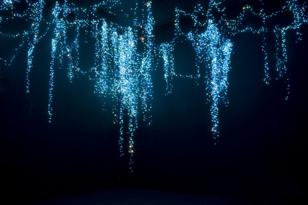 Time garden, 2008, Dimension variable, light installation