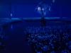 Jardin secret (Secret garden), 2001, Installation Vidéo, Couleur, sonore, Color/sound, Video loop projected in a dark room