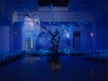 Jardin secret (Secret garden), 2001, Installation Vidéo, Couleur, sonore, Color/sound, Video loop projected in a dark room