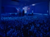 Jardin secret (Secret garden), 2001, Installation Vidéo, Couleur, sonore, Color/sound, Video loop projected in a dark room