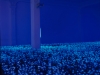 Jardin secret (Secret garden), 2001, Installation Vidéo, Couleur, sonore, Color/sound, Video loop projected in a dark room