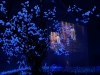 Jardin secret (Secret garden), 2001, Installation Vidéo, Couleur, sonore, Color/sound, Video loop projected in a dark room