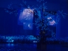 Jardin secret (Secret garden), 2001, Installation Vidéo, Couleur, sonore, Color/sound, Video loop projected in a dark room